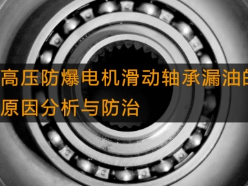 高壓防爆電機(jī)滑動(dòng)軸承漏油的原因分析與防治
