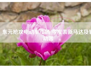 東元搶攻電動車市場 今發(fā)表新馬達及驅(qū)動器