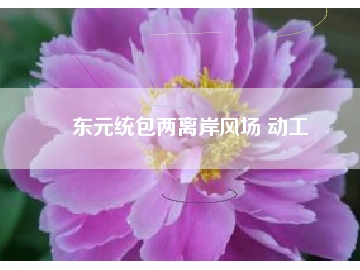 東元統(tǒng)包兩離岸風場 動工