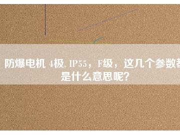 防爆電機(jī) 4極, IP55，F(xiàn)級(jí)，這幾個(gè)參數(shù)都是什么意思呢？