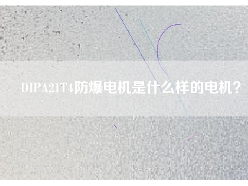 DIPA21T4防爆電機(jī)是什么樣的電機(jī)？