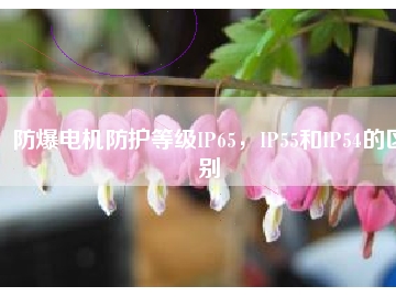 防爆電機防護等級IP65，IP55和IP54的區(qū)別