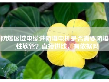 防爆區(qū)域電纜進(jìn)防爆電機(jī)是否需要防爆撓性軟管？直接進(jìn)線，有依據(jù)嗎