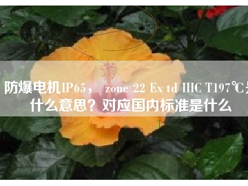 防爆電機(jī)IP65， zone 22 Ex td IIIC T197℃是什么意思？對(duì)應(yīng)國(guó)內(nèi)標(biāo)準(zhǔn)是什么