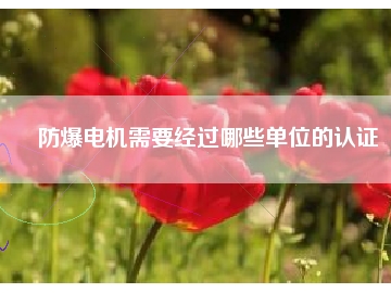 防爆電機需要經(jīng)過哪些單位的認(rèn)證