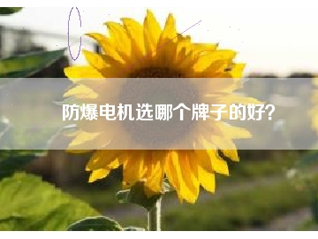 防爆電機選哪個牌子的好？