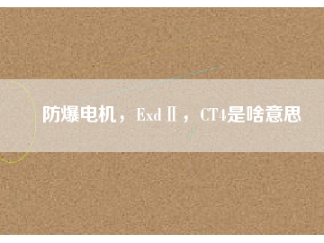 防爆電機(jī)，ExdⅡ，CT4是啥意思