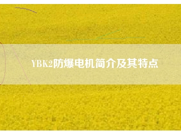 YBK2防爆電機(jī)簡介及其特點