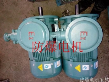 防爆電機(jī)分類：防爆電機(jī)選型、參數(shù)、定義