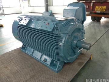 防爆電機(jī)在潮濕環(huán)境中使用時的注意事項(xiàng)