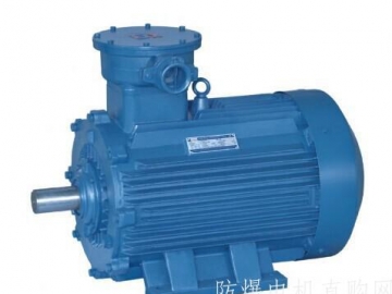 防爆電機(jī)的密封結(jié)構(gòu)在安裝使用中要注意哪些？