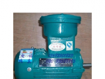 防爆電機(jī)啟動方法都有哪幾種
