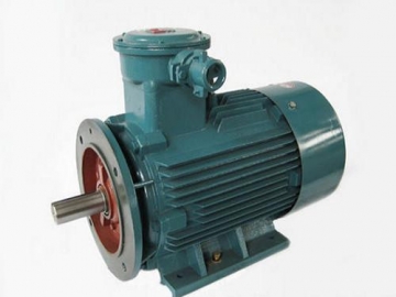 防爆電機驗收時除了銘牌外，還要注意哪些？