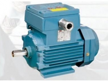 防爆電機在維修時主要注意哪些？