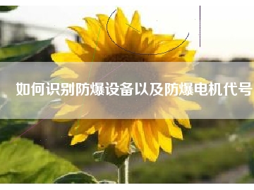 如何識別防爆設(shè)備以及防爆電機代號