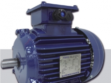 AEEV5N超超高效三相異步電機(jī)(MODEL:TEV5)
