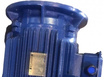 AEUV5N超超高效三相異步電機(jī)(MODEL:TEV5)