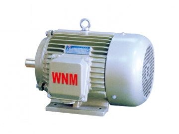 YD2系列變極多速三相異步電動(dòng)機(jī)