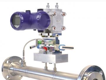 FLC-HHR-PP用于石油和天然氣的HHR ProPak? 流量計(jì)