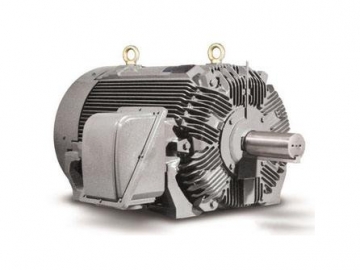 NEMA電機 DESIGN A,B,C,D的區(qū)別