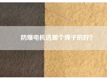 防爆電機(jī)選哪個牌子的好？