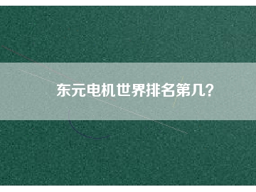 東元電機(jī)世界排名第幾？