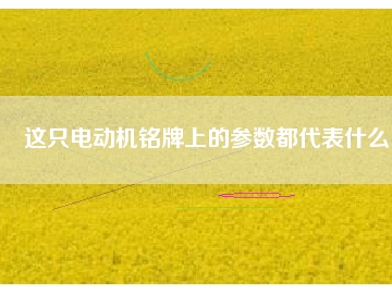 這只電動機銘牌上的參數(shù)都代表什么