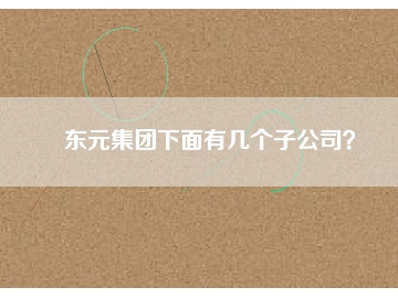 東元集團下面有幾個子公司？