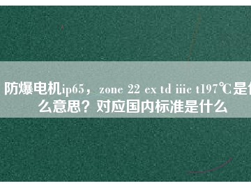 防爆電機(jī)ip65，zone 22 ex td iiic t197℃是什么意思？對(duì)應(yīng)國內(nèi)標(biāo)準(zhǔn)是什么