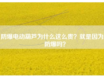 防爆電動(dòng)葫蘆為什么這么貴？就是因?yàn)槟芊辣瑔幔?></div>
                            <div   id=