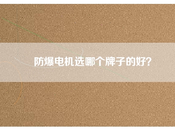 防爆電機(jī)選哪個(gè)牌子的好？