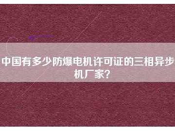 中國(guó)有多少防爆電機(jī)許可證的三相異步電機(jī)廠家？