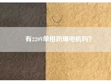 有220V單相防爆電機(jī)嗎？