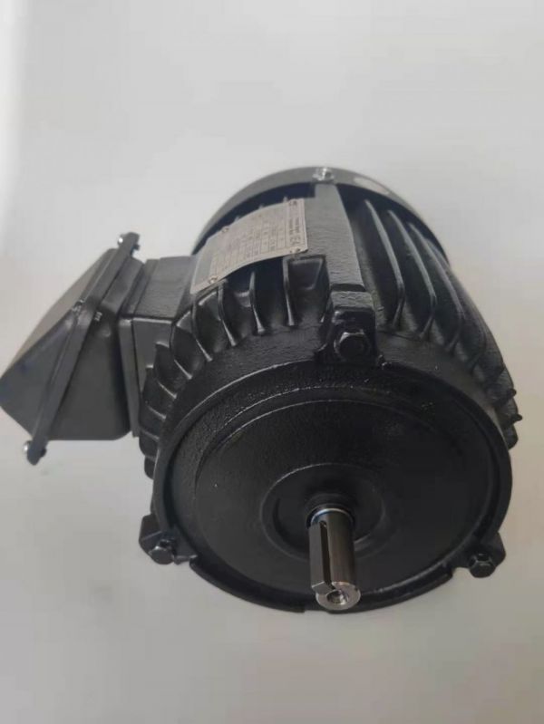 永磁電機 DVEX  55KW  1500RPM  F#200L IE4效率電機