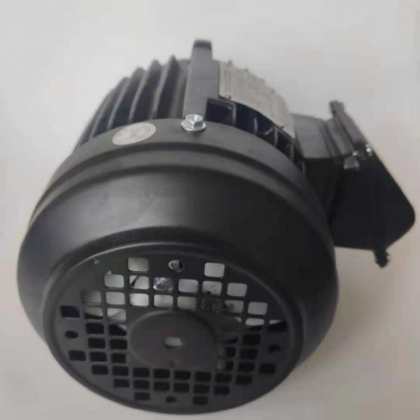 永磁電機 DVEX  55KW  1500RPM  F#200L IE4效率電機