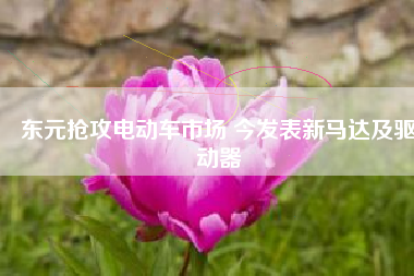 東元搶攻電動車市場 今發(fā)表新馬達及驅動器