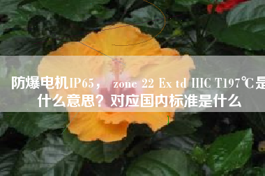 防爆電機(jī)IP65， zone 22 Ex td IIIC T197℃是什么意思？對(duì)應(yīng)國內(nèi)標(biāo)準(zhǔn)是什么