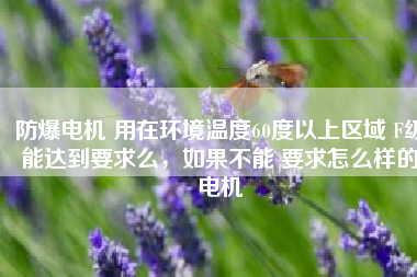 防爆電機(jī) 用在環(huán)境溫度60度以上區(qū)域 F級(jí)能達(dá)到要求么,如果不能 要求怎么樣的電機(jī)