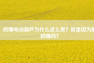 防爆電動葫蘆為什么這么貴？就是因?yàn)槟芊辣瑔幔? title=