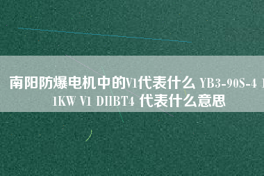 南陽(yáng)防爆電機(jī)中的V1代表什么 YB3-90S-4 1.1KW V1 DIIBT4 代表什么意思