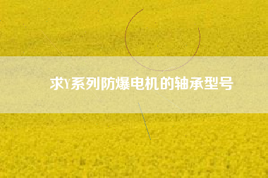 求Y系列防爆電機的軸承型號