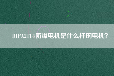 DIPA21T4防爆電機是什么樣的電機？