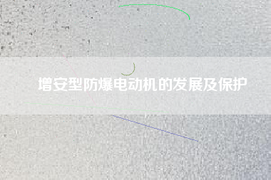 增安型防爆電動機的發(fā)展及保護