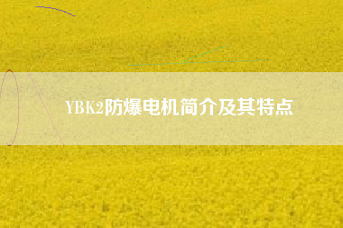 YBK2防爆電機(jī)簡(jiǎn)介及其特點(diǎn)