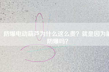 防爆電動(dòng)葫蘆為什么這么貴？就是因?yàn)槟芊辣瑔幔? title=