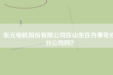 東元電機股份有限公司在山東在辦事處或分公司嗎？