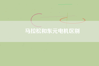 馬拉松和東元電機區(qū)別