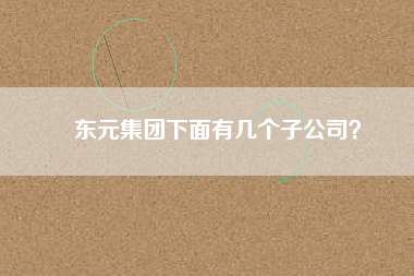 東元集團(tuán)下面有幾個(gè)子公司？