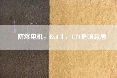 防爆電機(jī)，ExdⅡ，CT4是啥意思