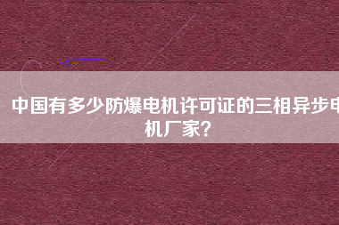 中國有多少防爆電機許可證的三相異步電機廠家？